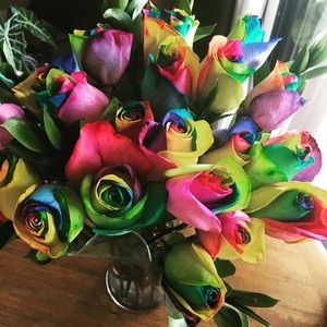 Meet your Posher, Shekila